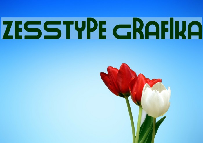 ZESSTYPE GRAFIKA Font examples