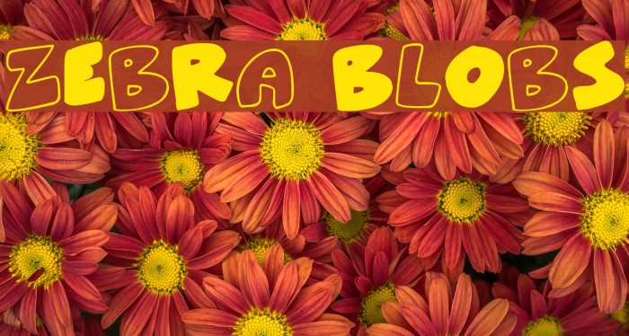 ZeBrA bLoBs Font examples