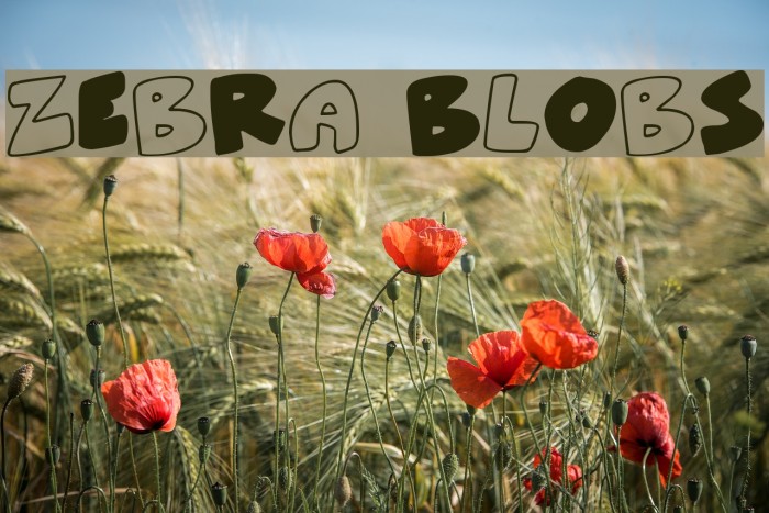 ZeBrA bLoBs Font examples