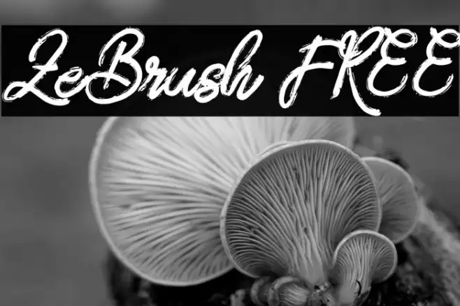 ZeBrush FREE Font examples