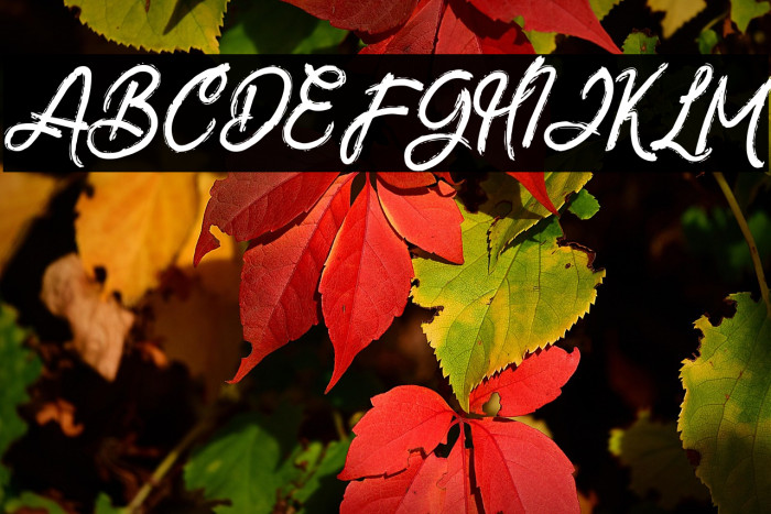 ZeBrushFREE Example 1