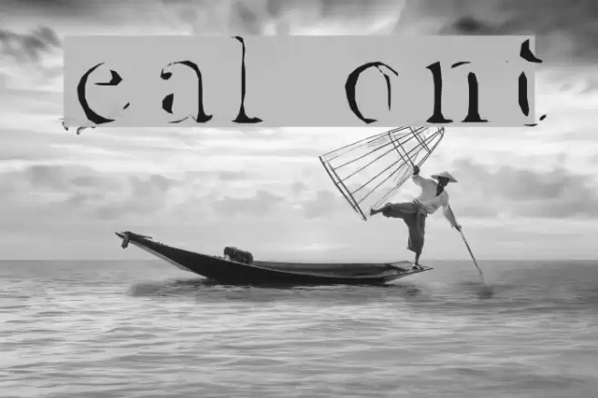 Zeal Font examples
