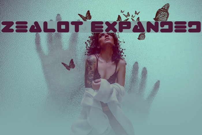Zealot Expanded Font examples