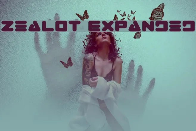 Zealot Expanded Example 2