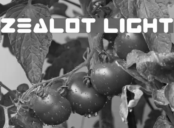 Zealot Light フォント examples