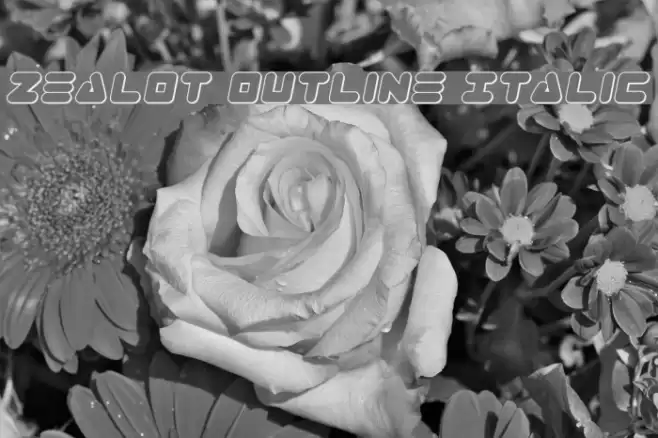 Zealot Outline Italic Font examples