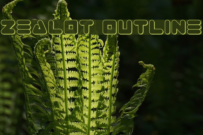 Zealot Outline Font examples