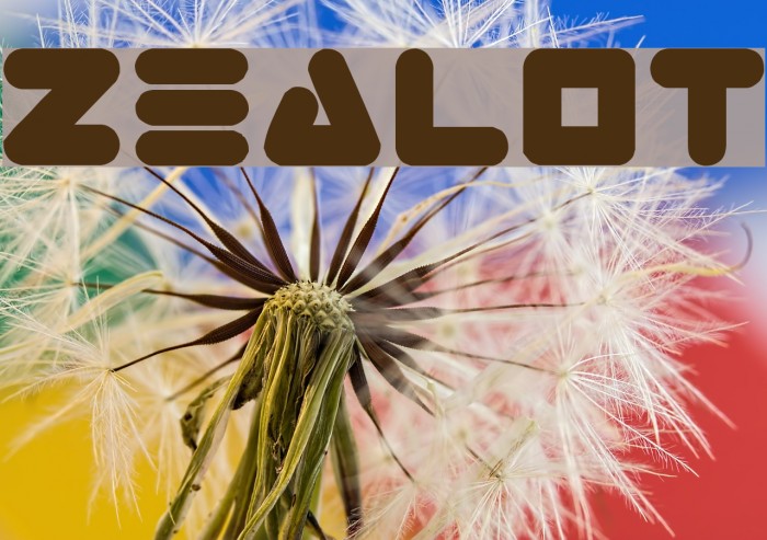Zealot Font examples