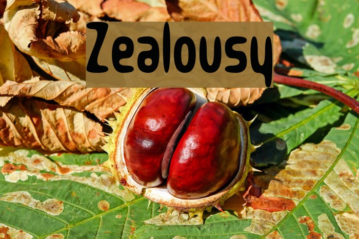 Zealousy Font examples