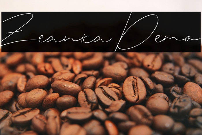Zeanica Demo Example 1