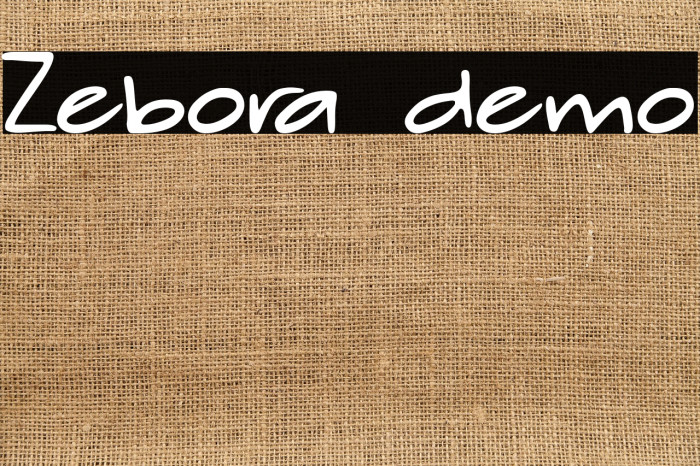 Zebora demo Example 1