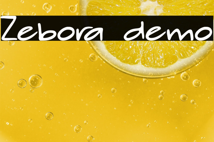 Zebora demo Example 2