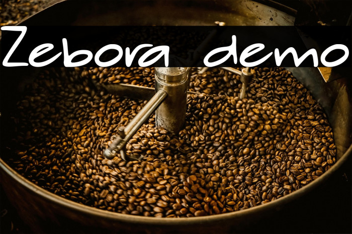 Zebora demo Example 3