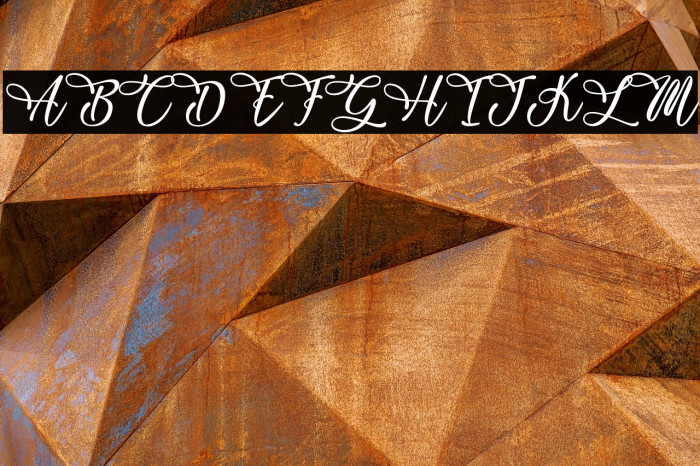 Zebra Advert - Personal Use Example 3