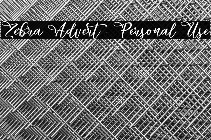 Zebra Advert - Personal Use Example 1