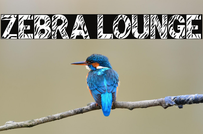 Zebra Lounge Example 2