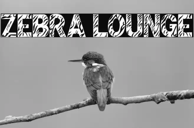 Zebra Lounge Font examples