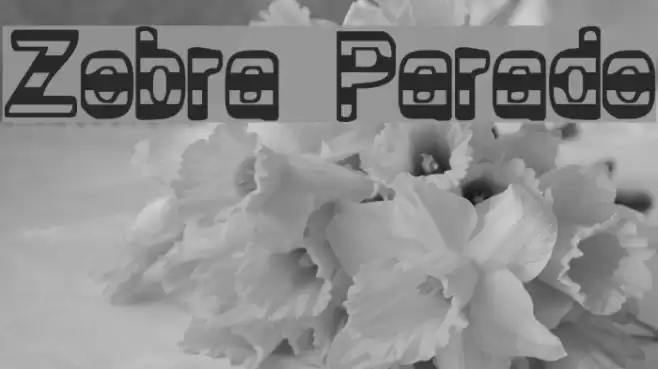 Zebra Parade フォント examples