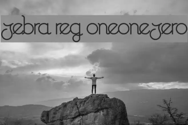 Zebra Reg oneonezero Caratteri examples