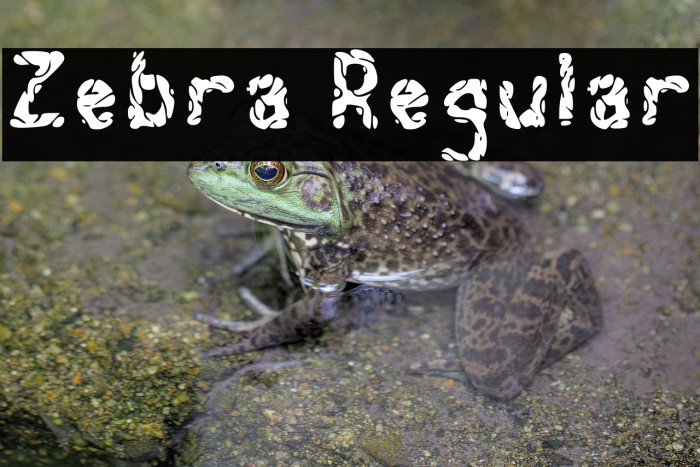 Zebra Regular Example 1