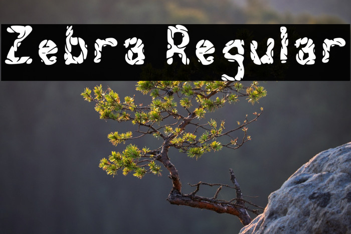 Zebra Regular Example 3