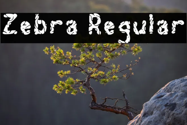 Zebra Regular Example 3