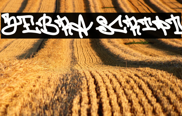 Zebra Script Example 1