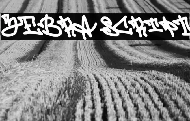 Zebra Script フォント examples