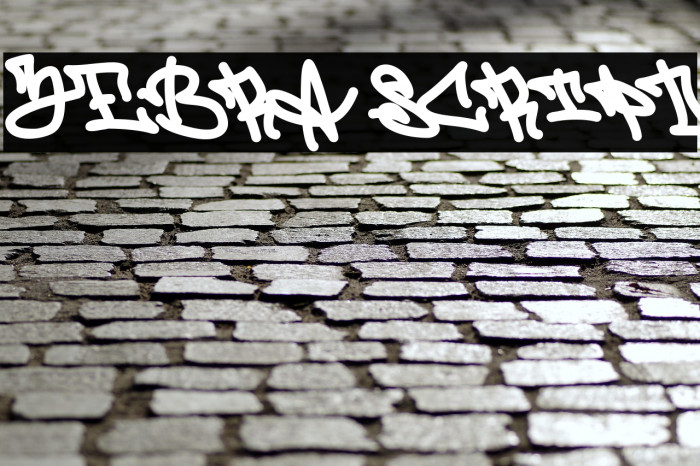 Zebra Script Example 3