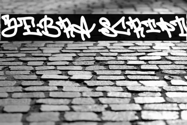 Zebra Script フォント examples