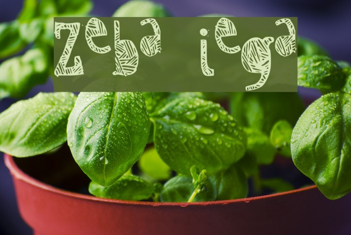 Zebra irregular Font examples