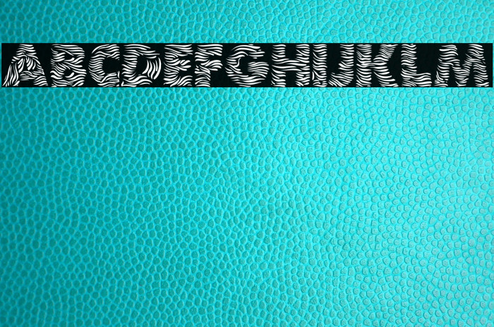 Zebra Font examples