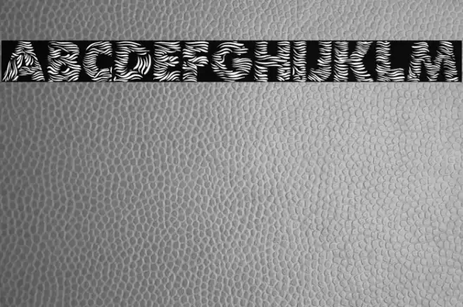 Zebra Font examples
