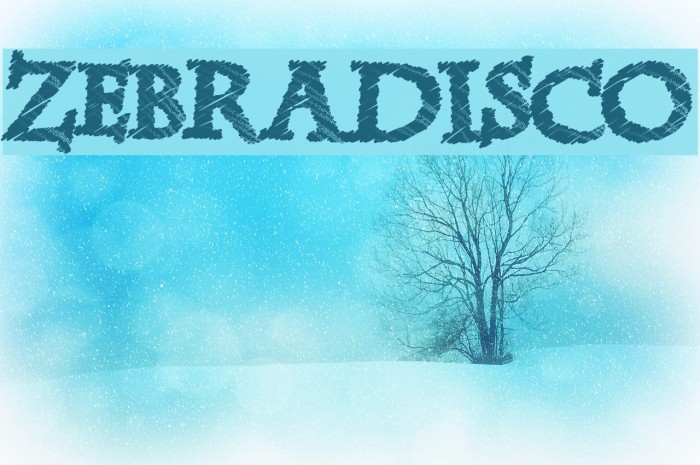 ZebraDisco Font examples