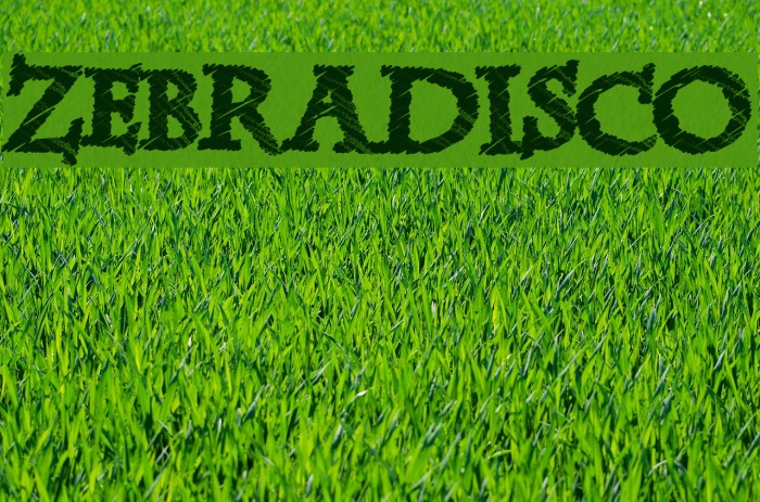 ZebraDisco Font examples