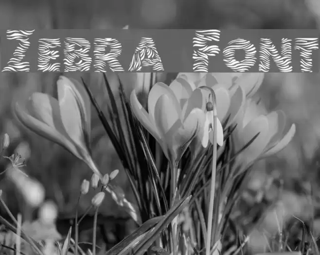 Zebra フォント examples
