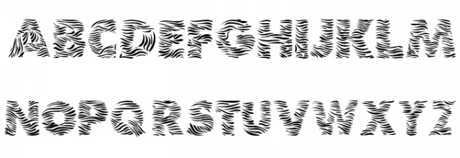 Zebra フォント 小文字
