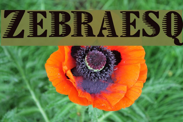 Zebraesq Font examples