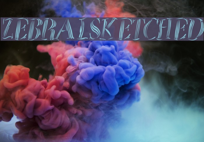 ZebralSketched Example 1