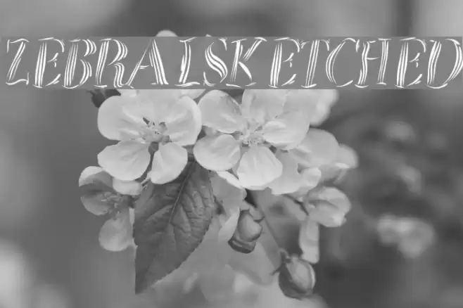 ZebralSketched Font examples