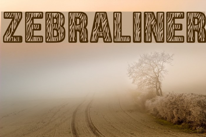 Zebraliner Font examples