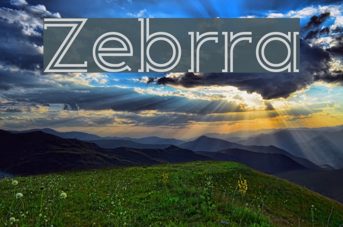 Zebrra Fuentes examples