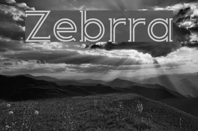 Zebrra Caratteri examples