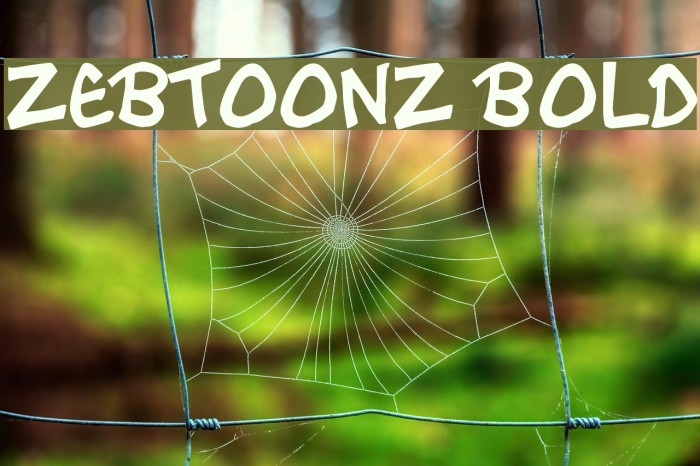 Zebtoonz Bold Font examples