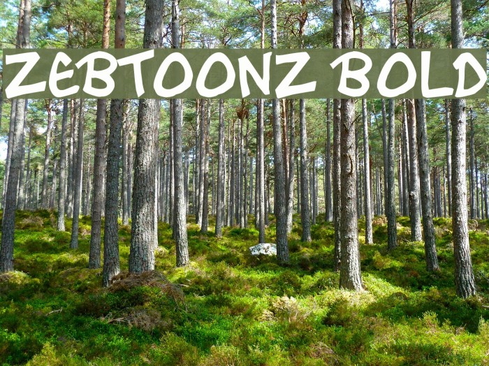 Zebtoonz Bold Font examples