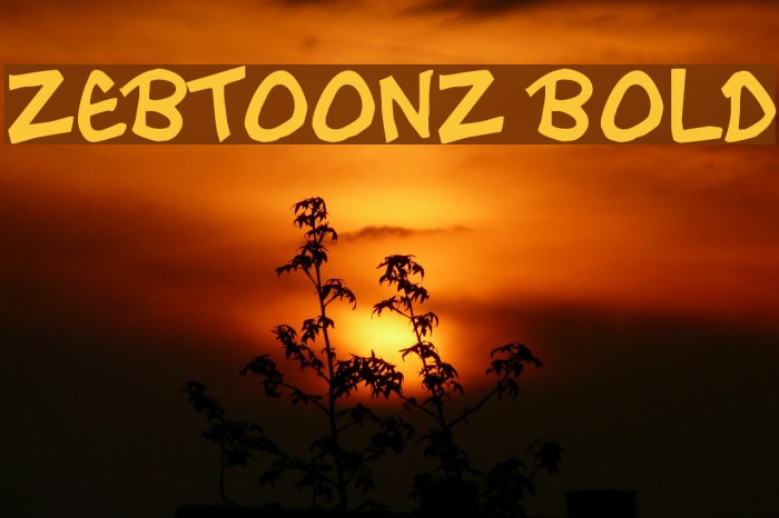 Zebtoonz Bold Font examples
