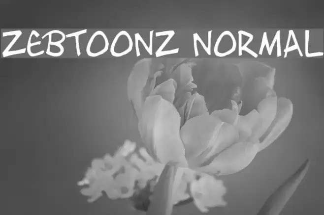 Zebtoonz Normal Font examples