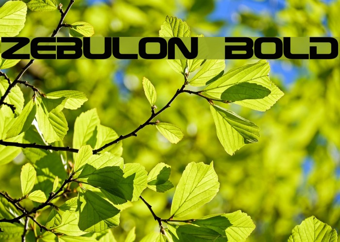 Zebulon Bold Font examples