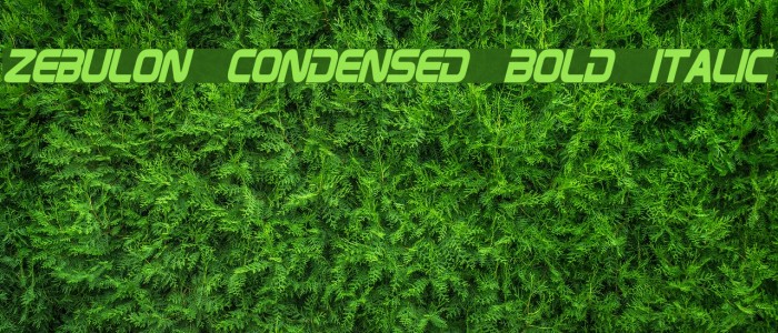 Zebulon Condensed Bold Italic Example 3