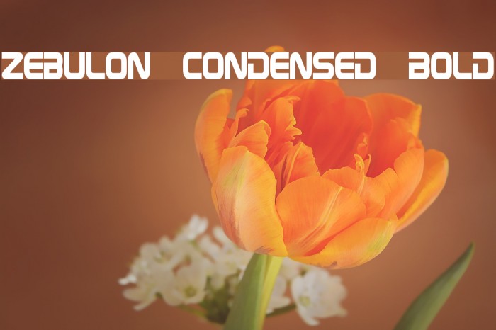 Zebulon Condensed Bold Example 2